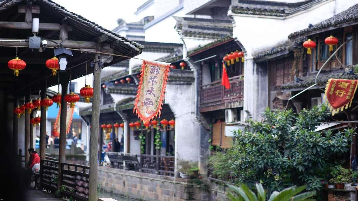 救援白色小猫